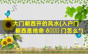大门朝西开的风水(入户门朝西是绝命 🐋 门怎么*
)